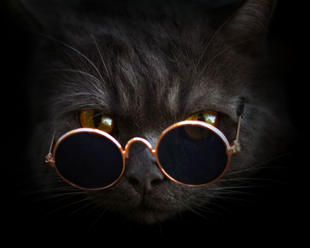 Photograph by Антонина Проскурина