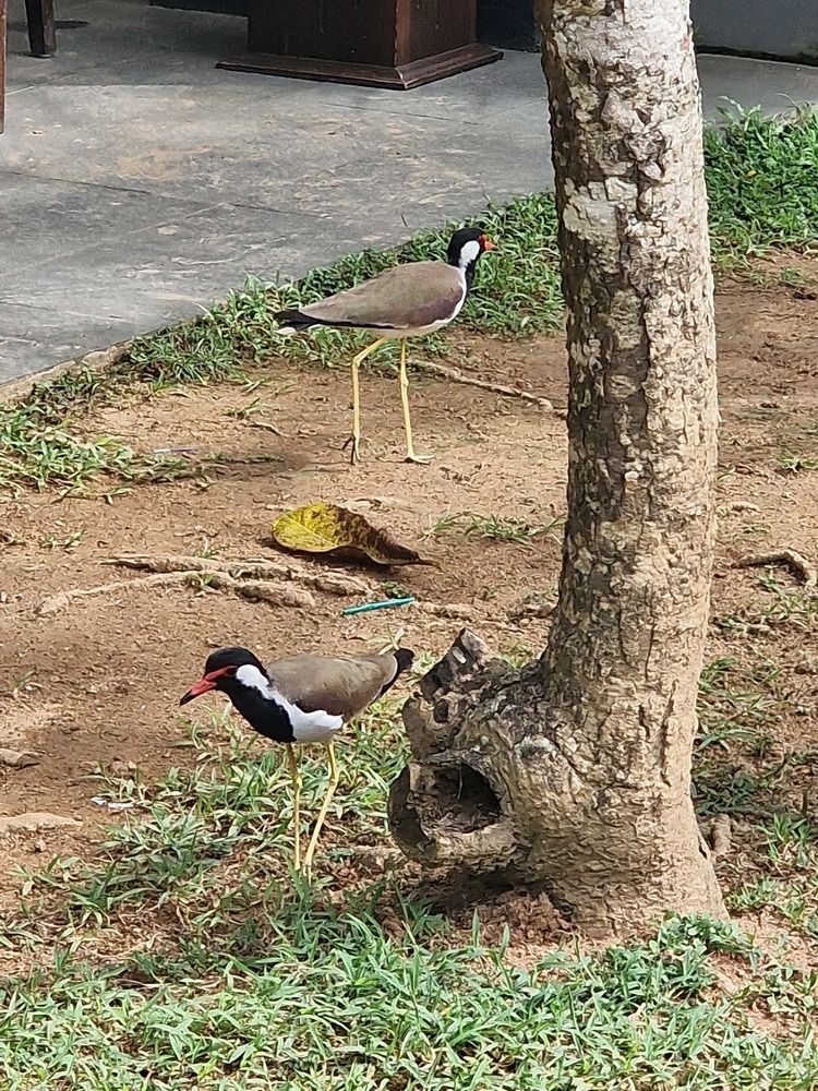 Photograph by Ирина Рудь