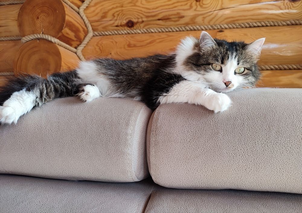 Photograph by Марина