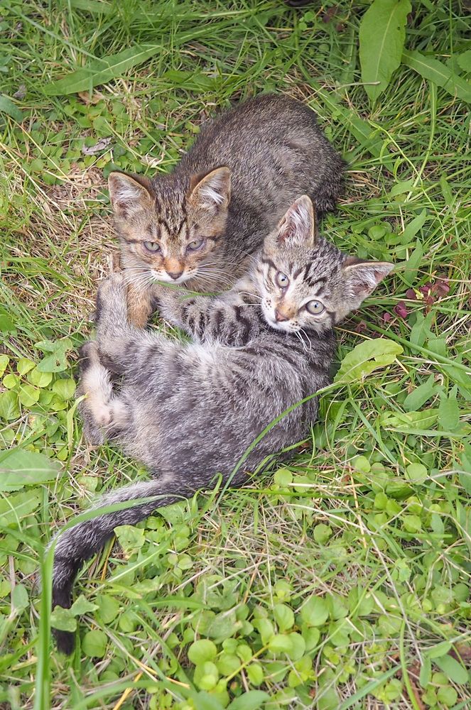 Photograph by Сергей Пушкин