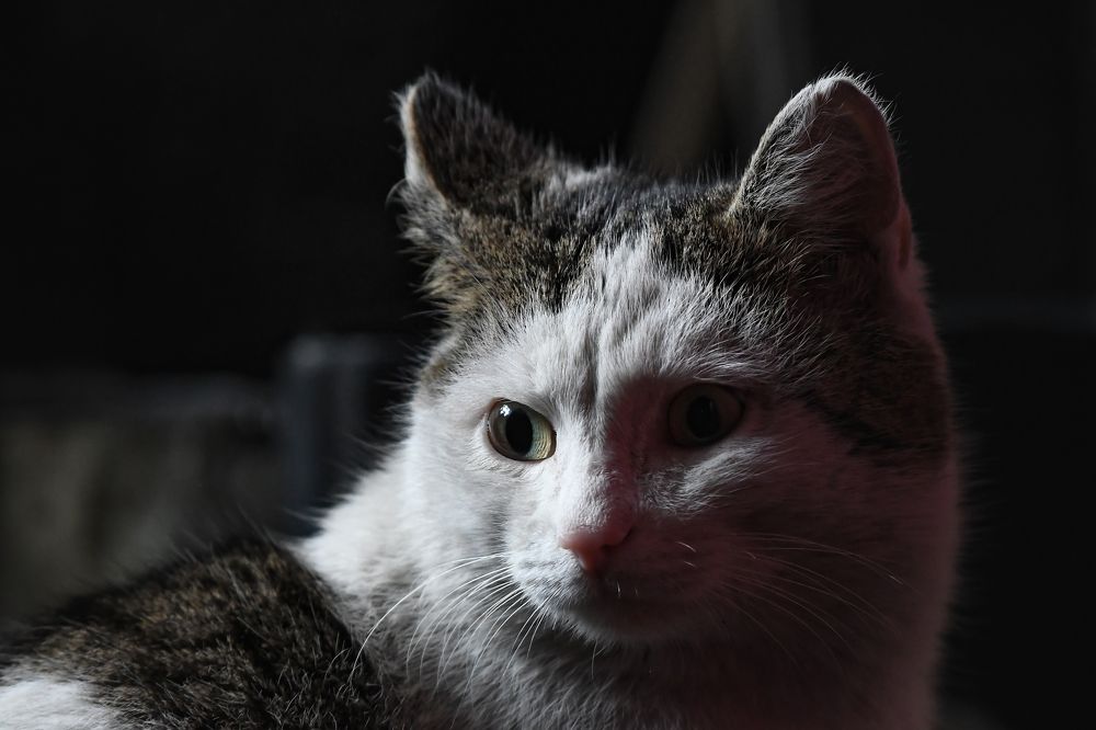 Photograph by Александр Перегудов