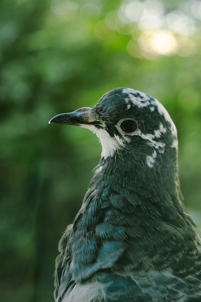 Photograph by Вера Печеник