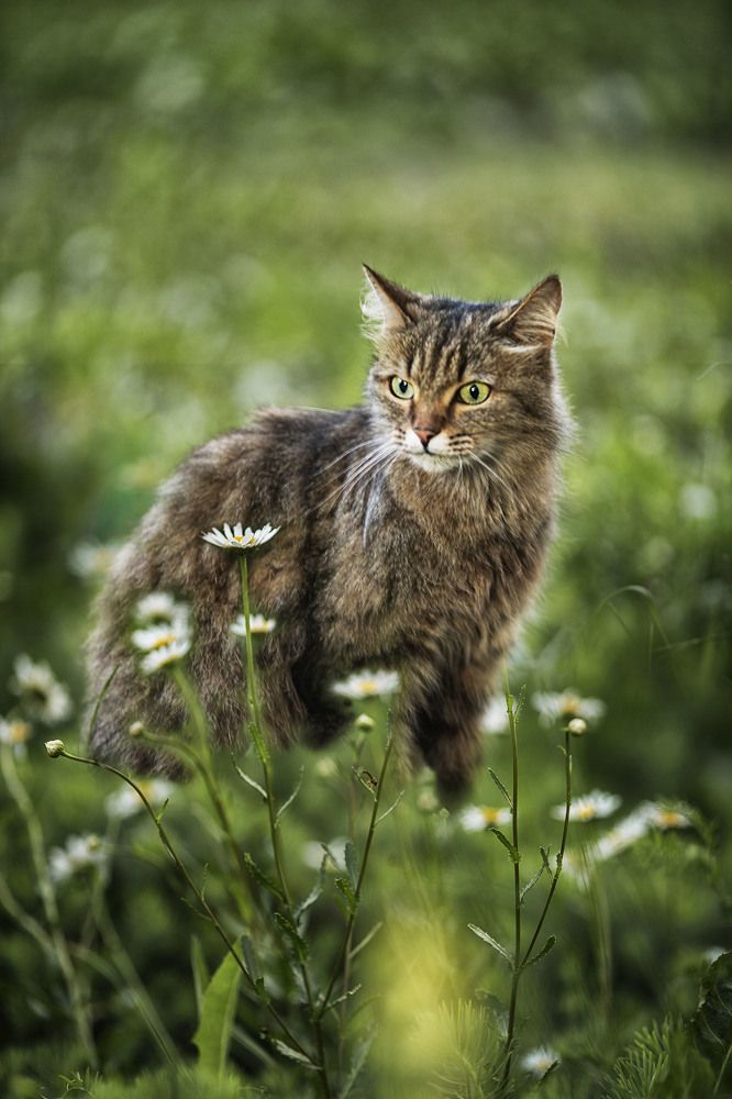 Photograph by Ольга Софронова