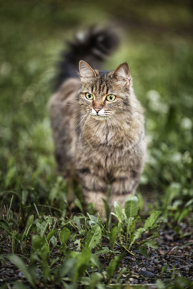 Photograph by Ольга Софронова