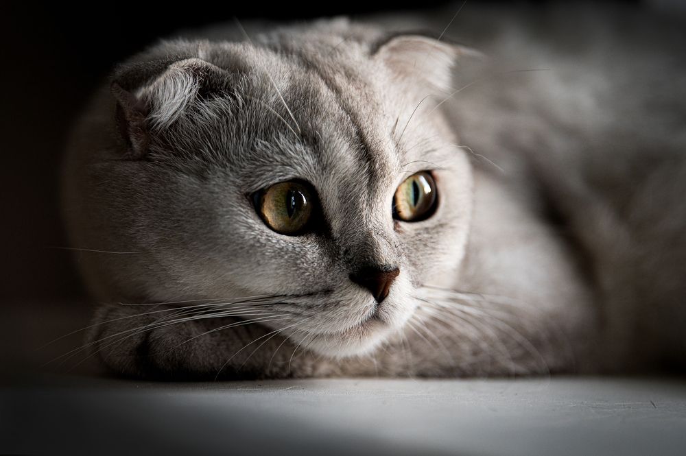 Photograph by Татьяна Родикова