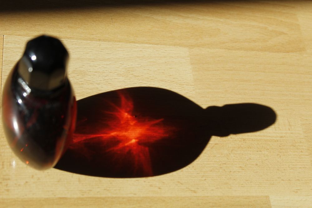 Photograph by Anna Emelyanova