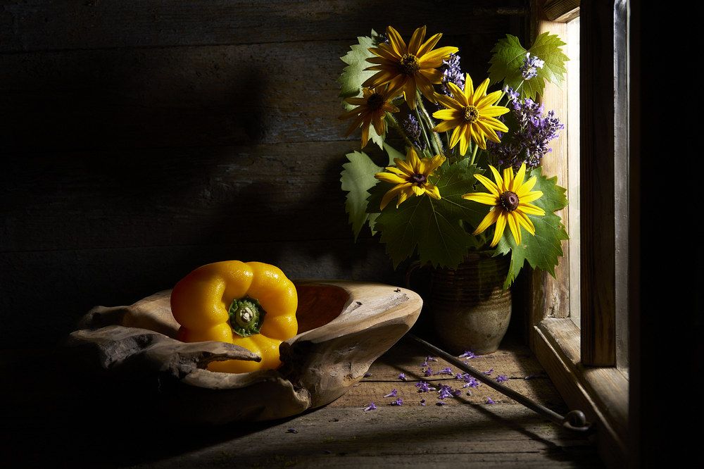 Фотография автора Josef Kravčík