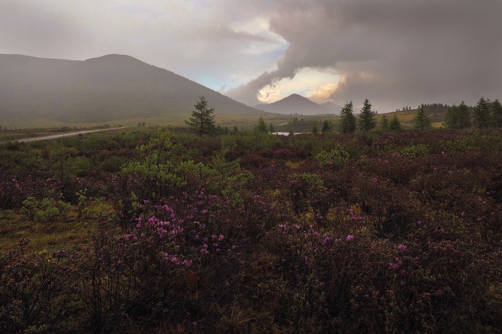 Photograph by Александр Попов