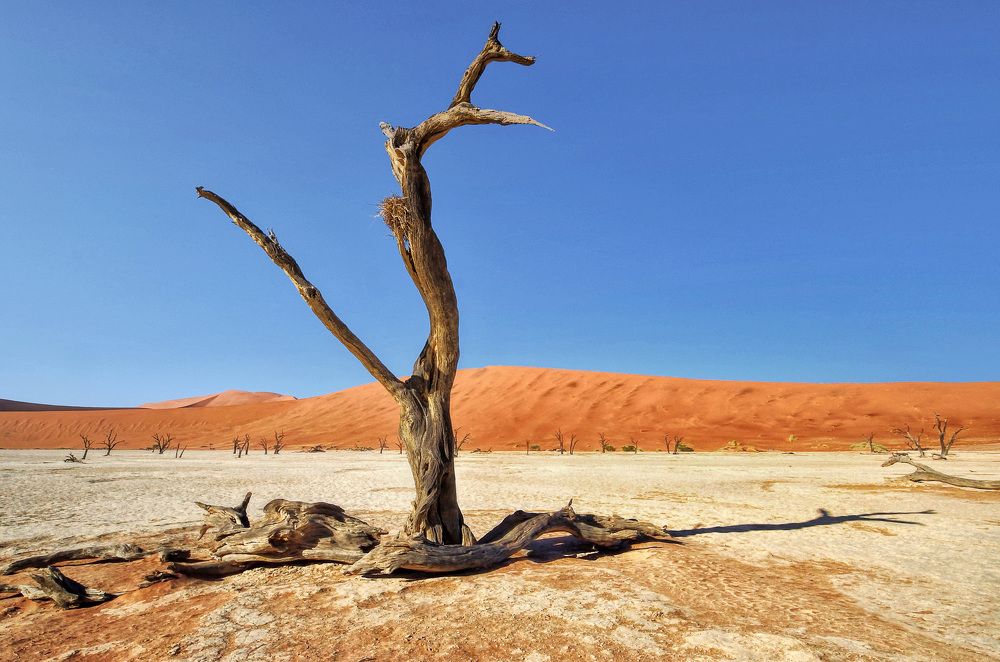 Deadvlei