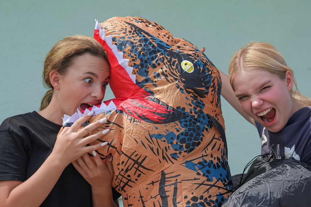 Фотография автора Владимир Пронин