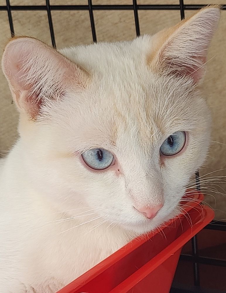 Photograph by Татьяна Гулакова