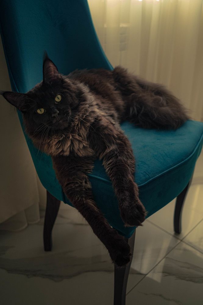 Photograph by Светлана Мнацаканянц