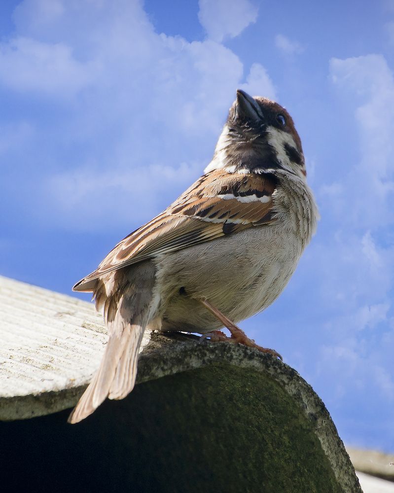 Photograph by Анатолий Максимов