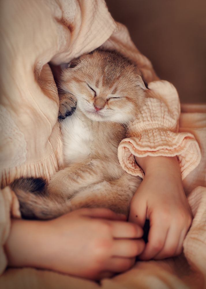 Фотография автора Галина Аверьянова