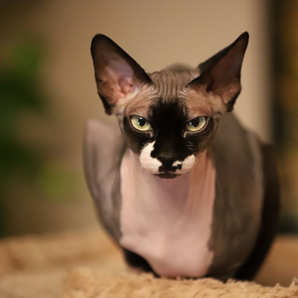 Тина или просто Принцесса