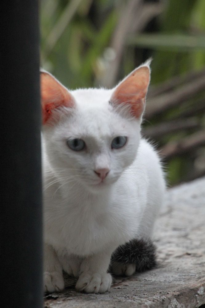 Photograph by Dewindu H. Fernando