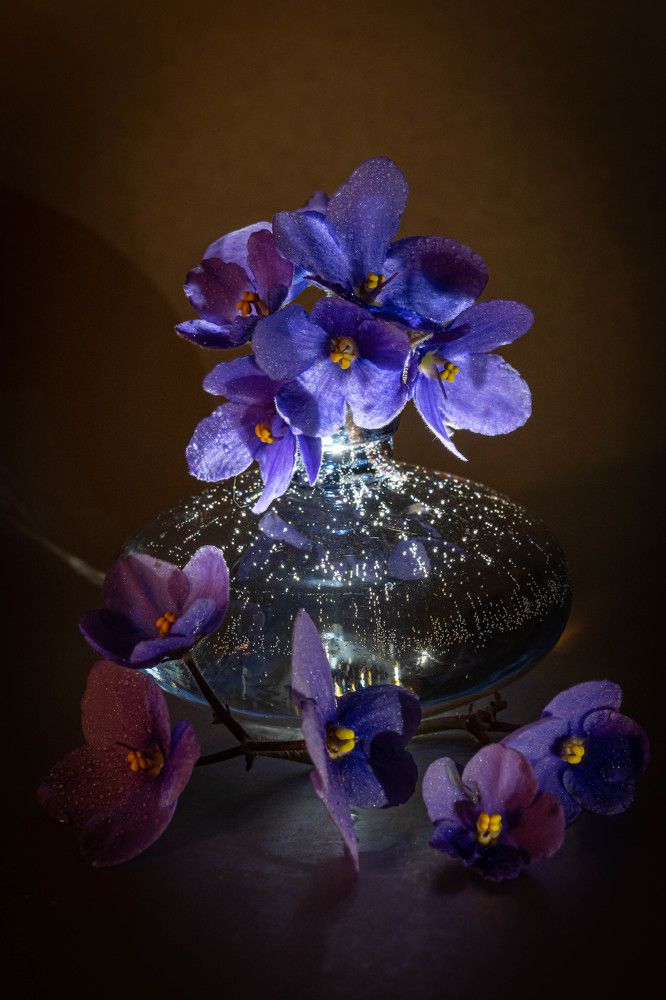 Фотография автора Оксана Белозерская