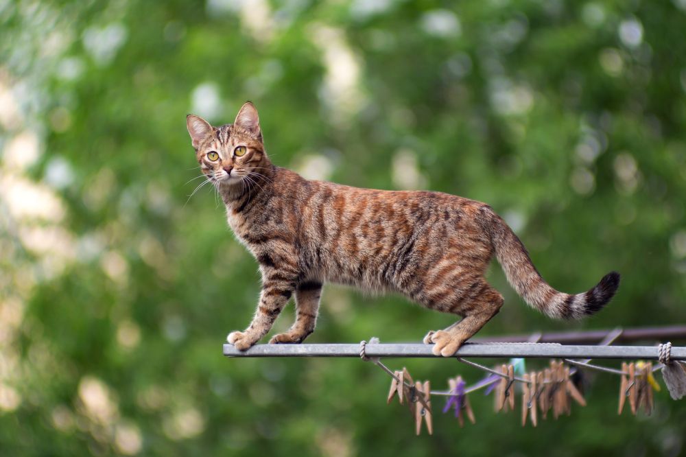 Photograph by Дмитрий Гордиенко