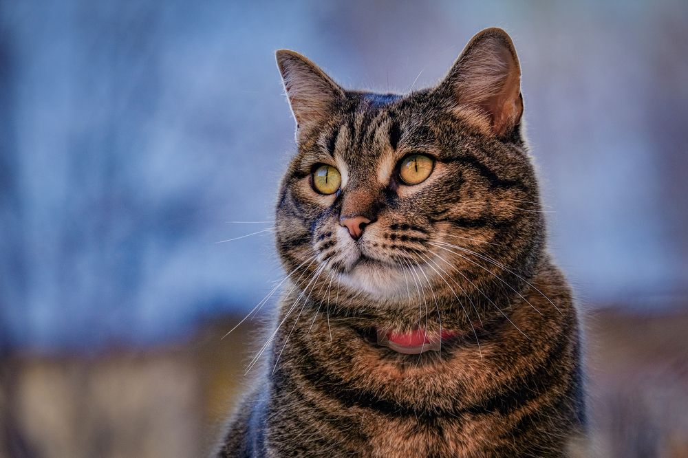 Photograph by Ольга Тюрина