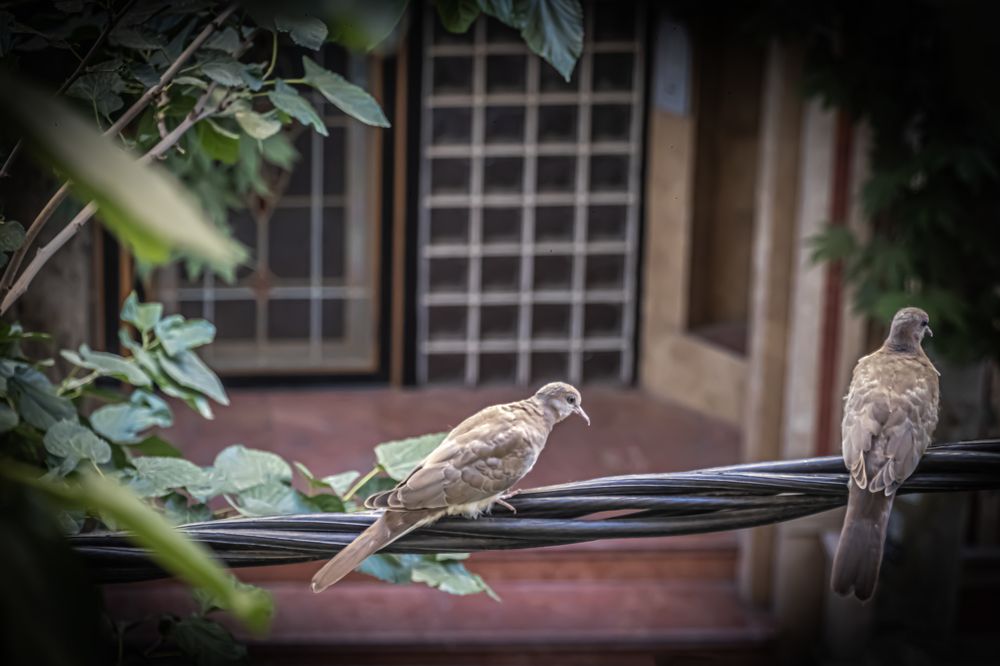 Photograph by Romina Moniri