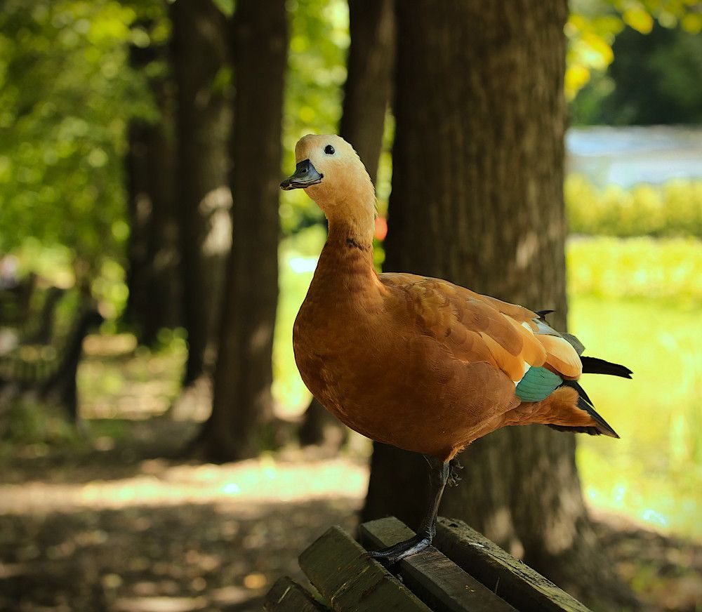 Photograph by Гагик Саркисян