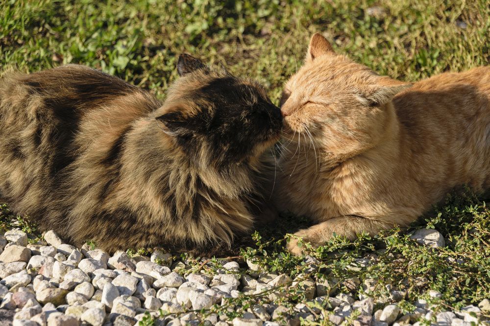 Photograph by Лилия Кондратьева