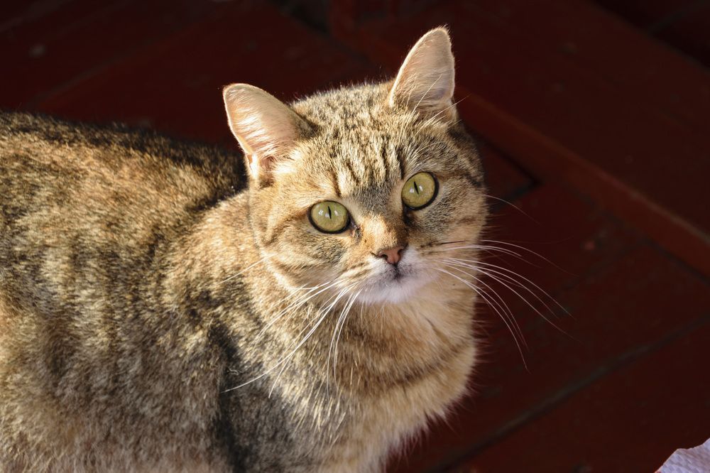 Photograph by Лилия Кондратьева