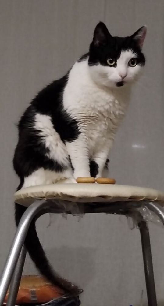 Фотография автора Марина Кушнарева