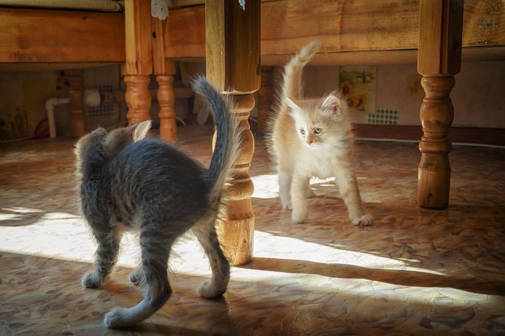 Photograph by Александр Колляков