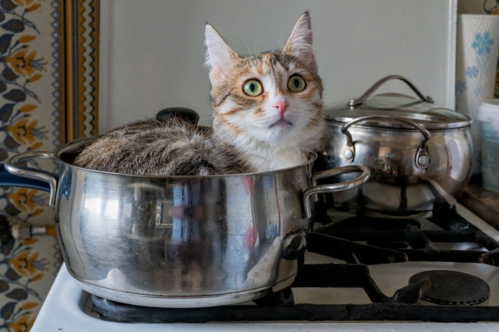 Photograph by Александр Колляков