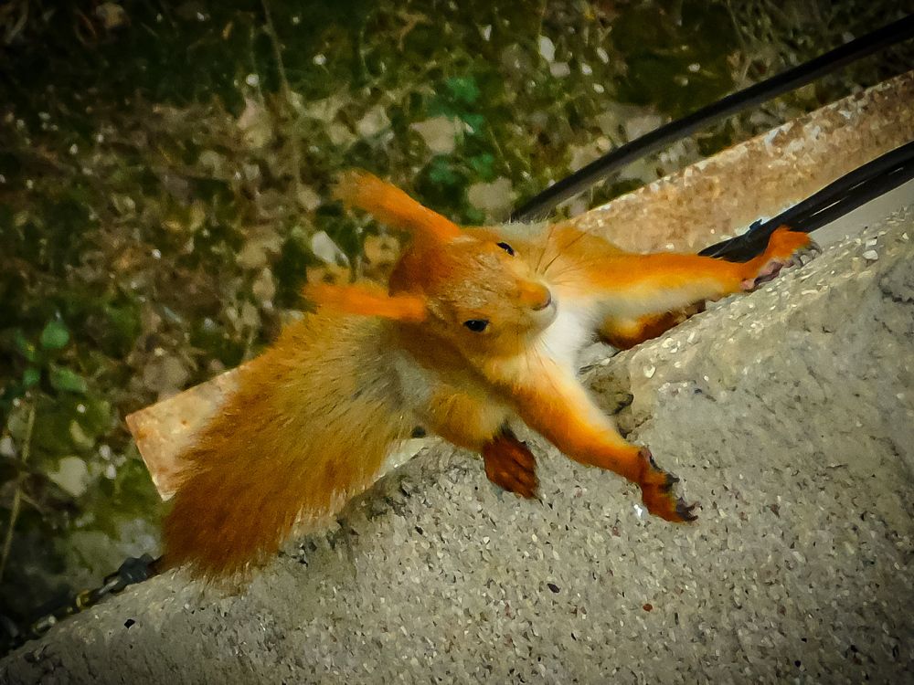 Photograph by Юлия Закопайло