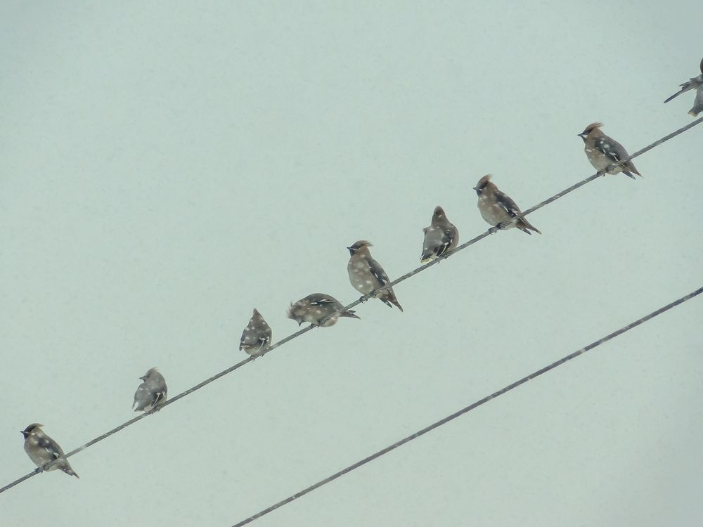 Photograph by Юлия Закопайло