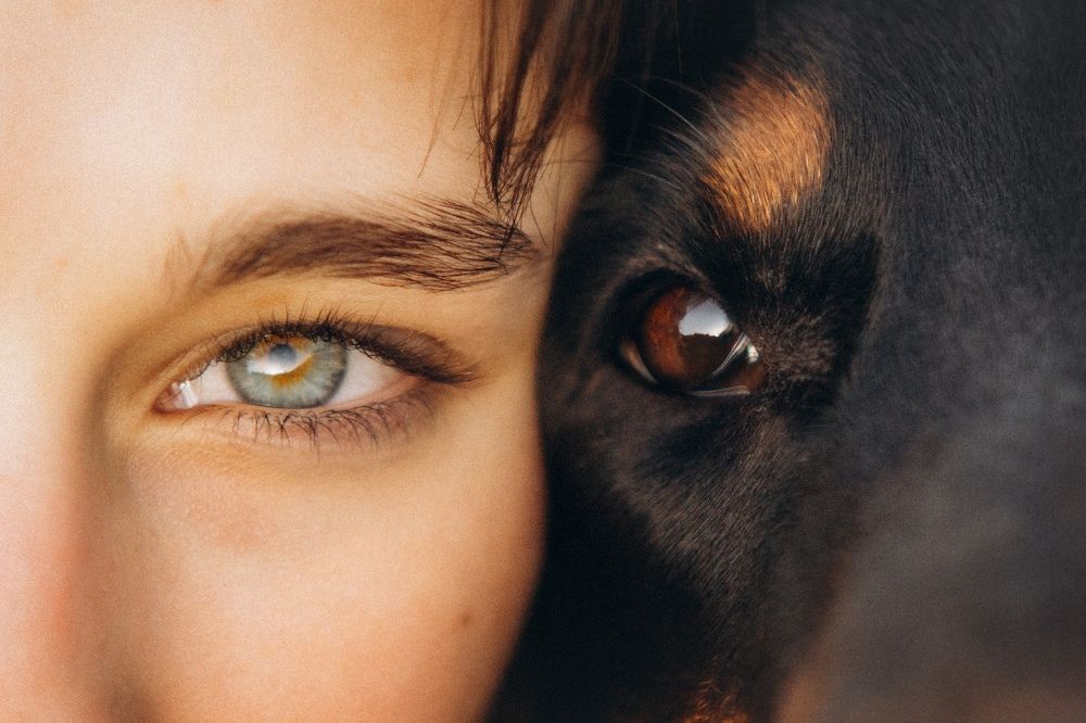 Photograph by Ангелина Ледовская