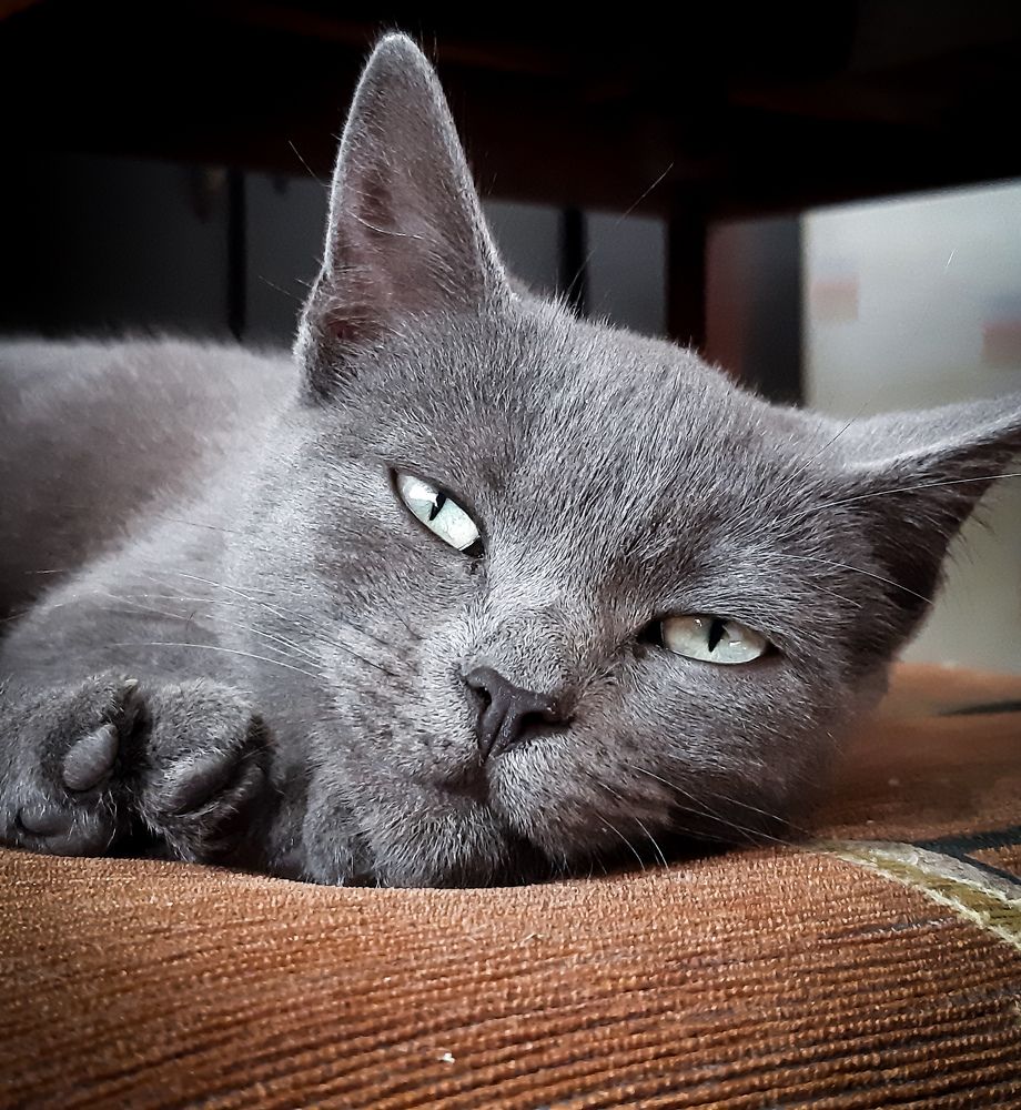 Photograph by Юлия Закопайло