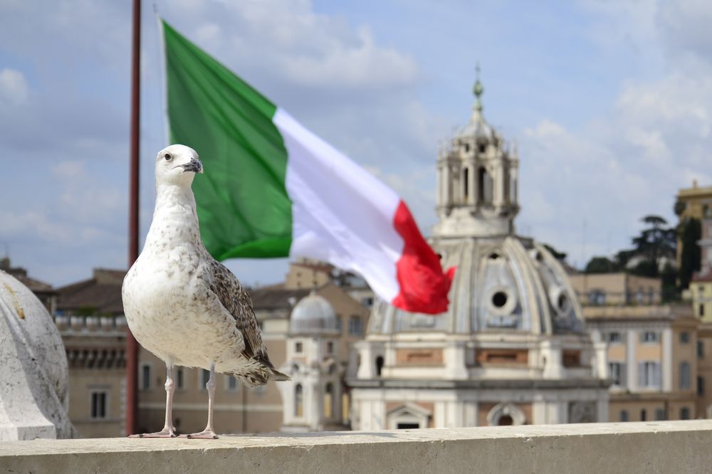 Фотография автора Клейменов Алексей