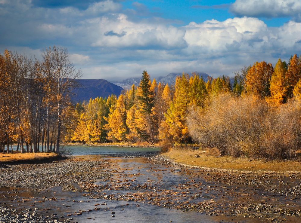 Photograph by Галина Хвостенко