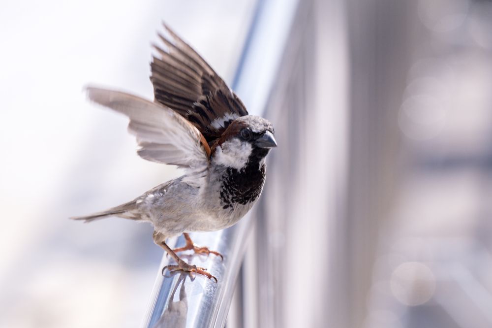 Photograph by Екатерина Загородина