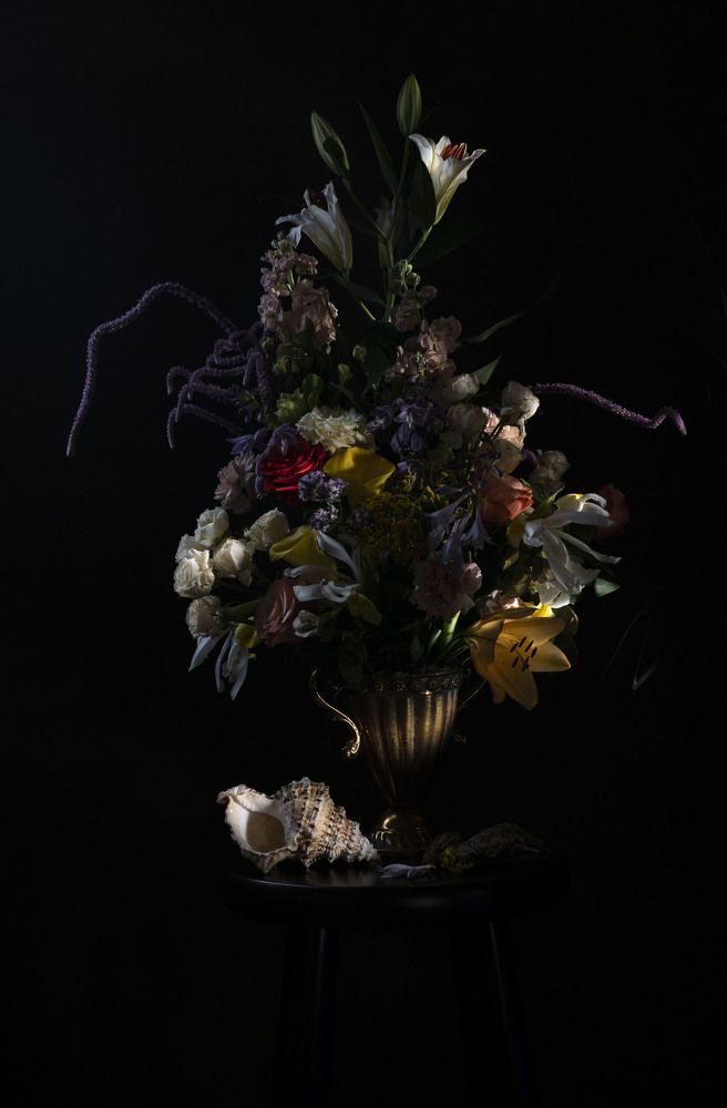 Фотография автора Мария Гомолко