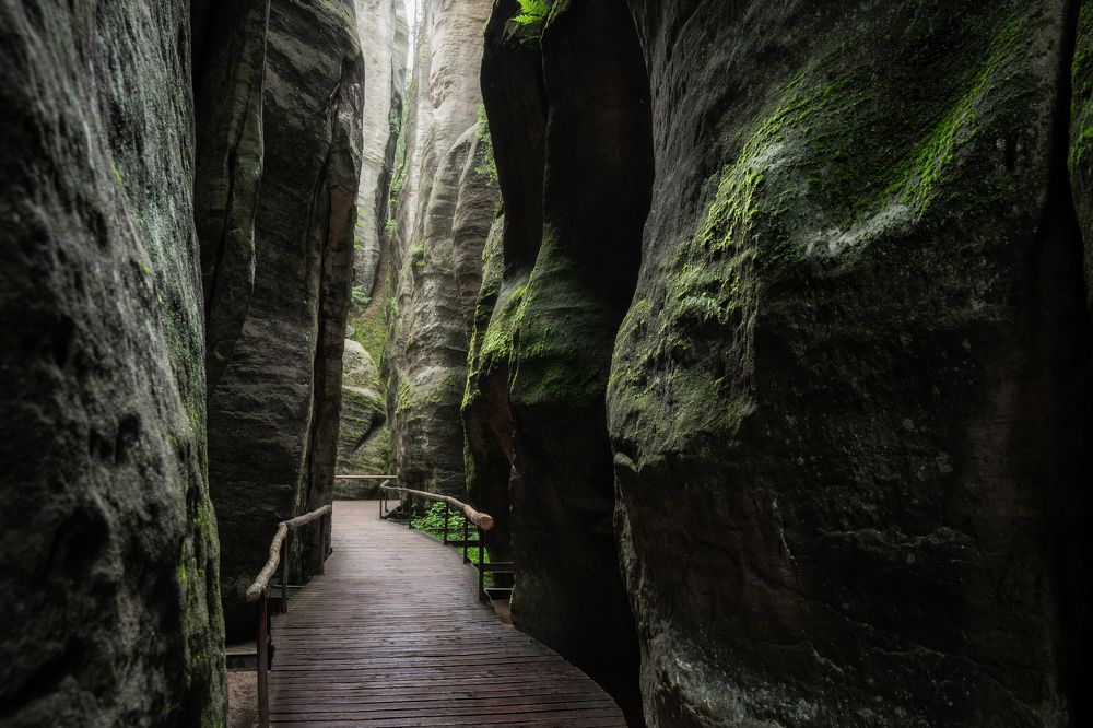 Photograph by Maciej Betnar