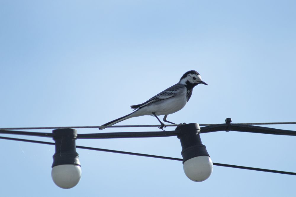 Photograph by Светлана Тарханова