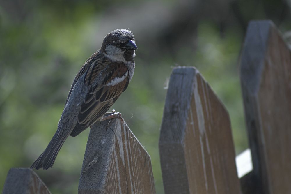 Photograph by Светлана Тарханова