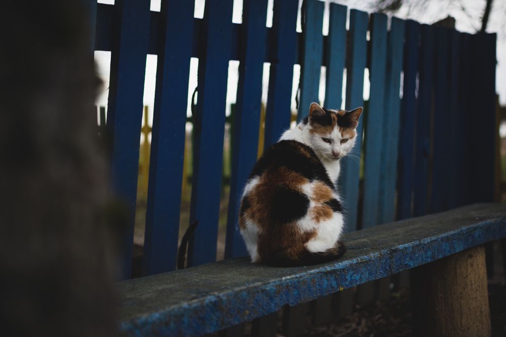 Photograph by Евгений Адуцкевич