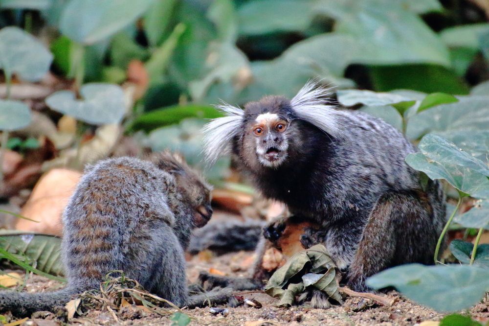 Photograph by Gr Marie