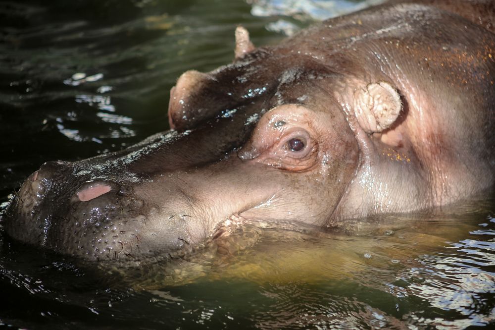 Photograph by Елена Болдырева