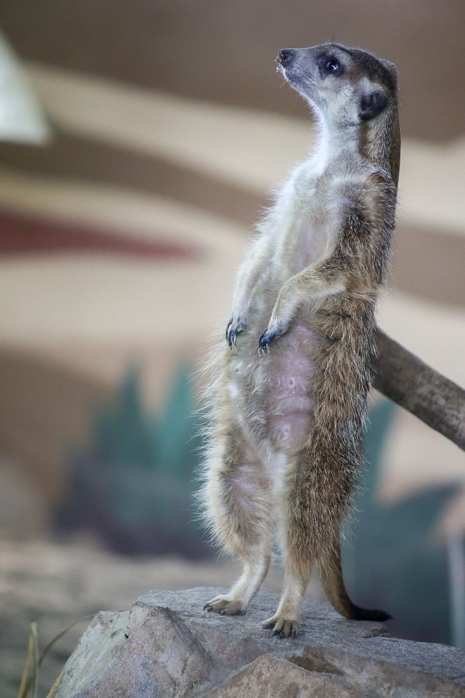 Photograph by Елена Болдырева