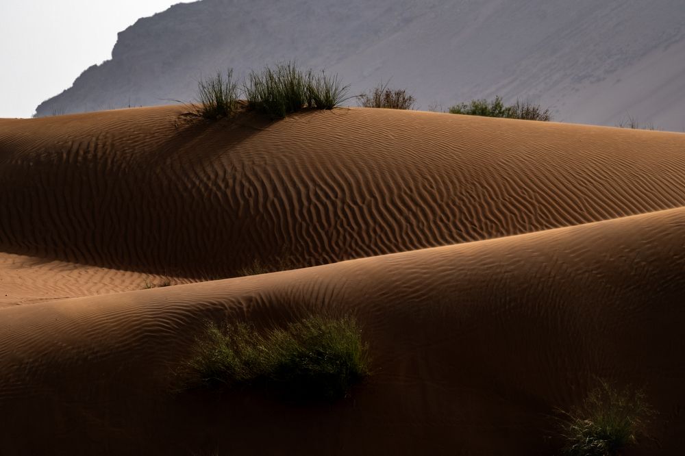 Фотография автора Abie Davies