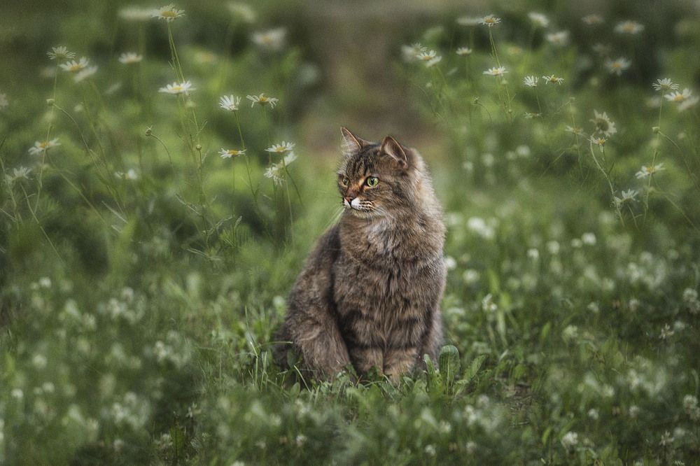 Photograph by Ольга Софронова