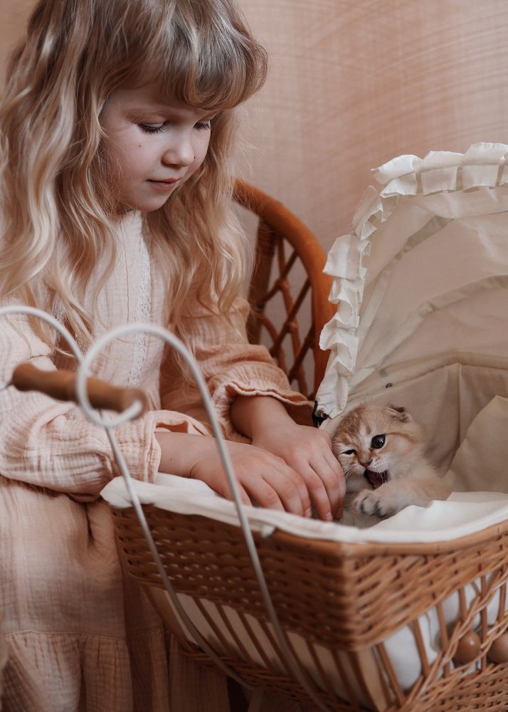 Фотография автора Галина Аверьянова