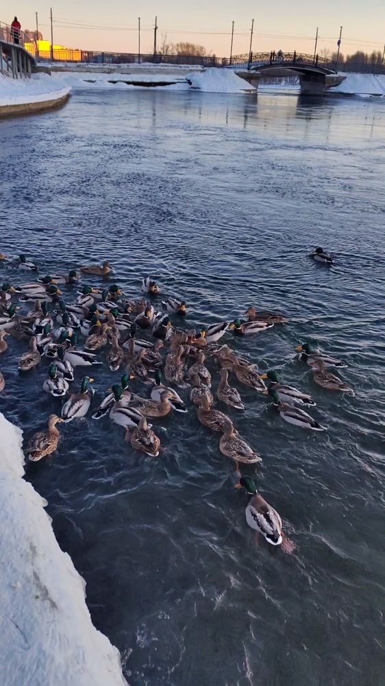 Photograph by Римма Бобрякова