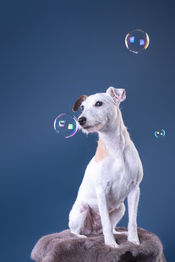 Photograph by наталья залогина